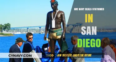 Exploring the Presence of Navy SEALs in San Diego: Facts and Insights