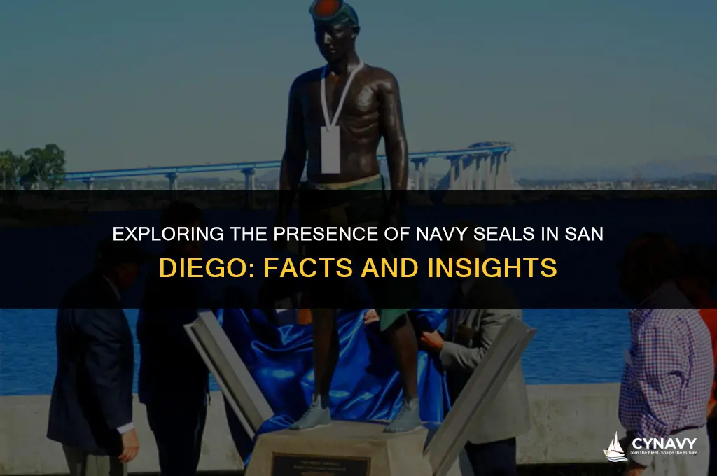 are navy seals stationed in san diego