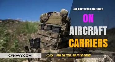 Deployed on the High Seas: Navy SEALs and Aircraft Carriers