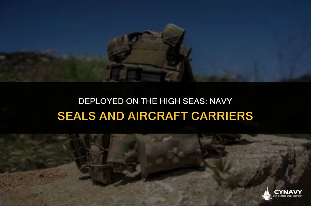 are navy seals stationed on aircraft carriers