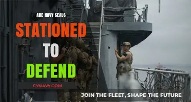 Elite Navy SEALs: Guardians of Maritime Security and Beyond