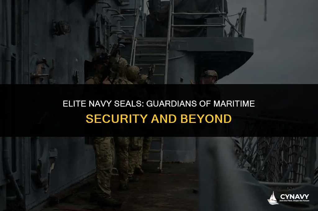 are navy seals stationed to defend