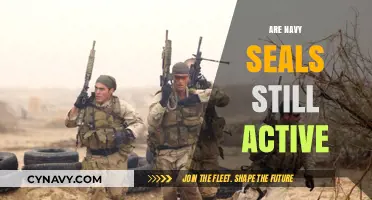 Exploring the Current Status of Navy SEALs: Active or Not?