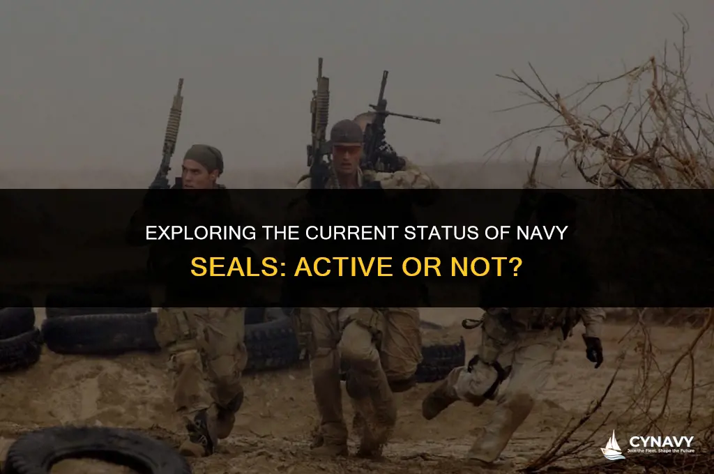are navy seals still active