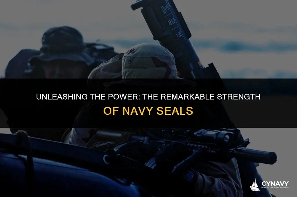 are navy seals strong