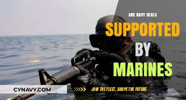 Behind the Scenes: The Unseen Support Marines Provide to Navy SEALs