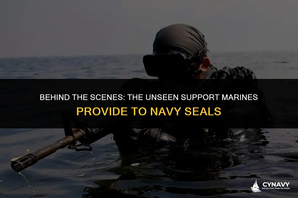 are navy seals supported by marines