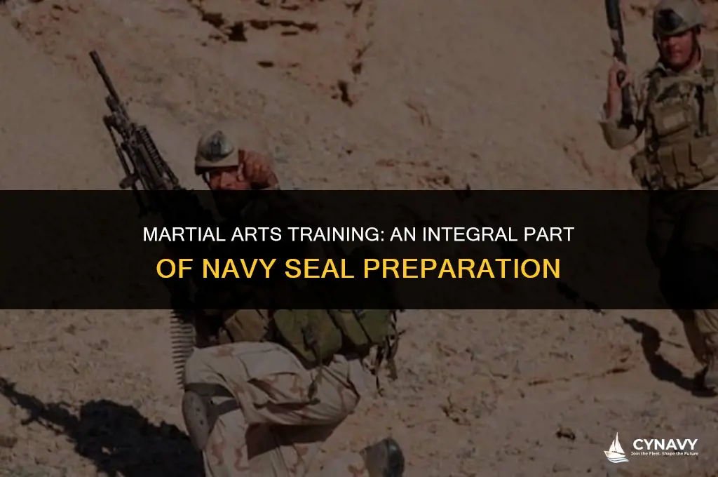 are navy seals taught martial arts