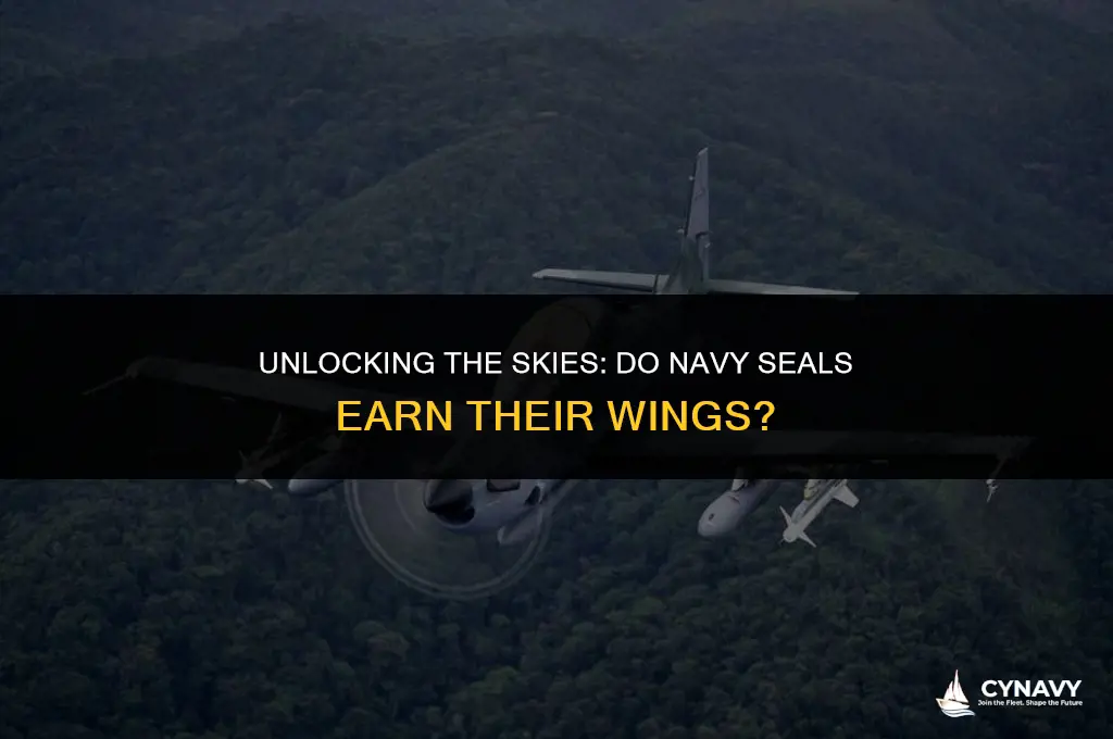are navy seals taught to fly