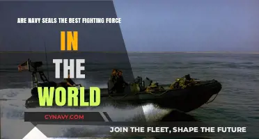 Elite Warriors: Are Navy SEALs the World's Best Fighting Force?