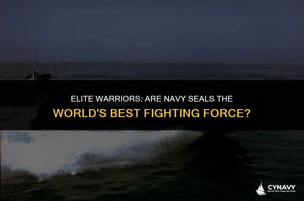 are navy seals the best fighting force in the world