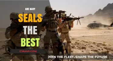 Exploring the Elite: Are Navy SEALs the Pinnacle of Military Excellence?