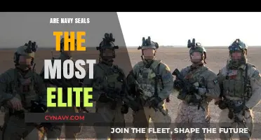 Exploring the Elite Status of Navy SEALs: A Comprehensive Analysis
