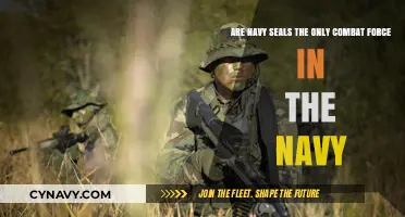 Exploring the Navy's Elite: Are SEALs the Sole Combat Force?