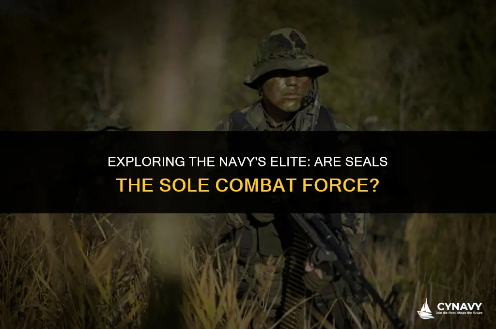 are navy seals the only combat force in the navy