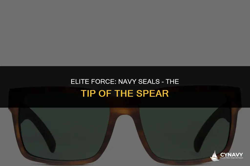 are navy seals the tip of the spear