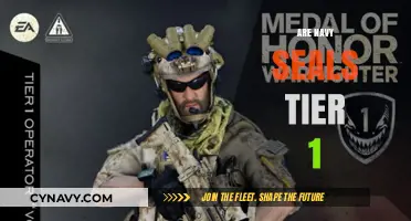 Elite Among Elites: The Tier 1 Status of Navy SEALs