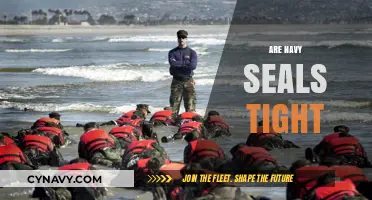 Exploring the Elite World of Navy SEALs: A Glimpse Inside