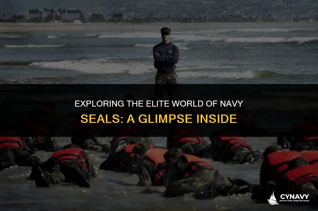 are navy seals tight