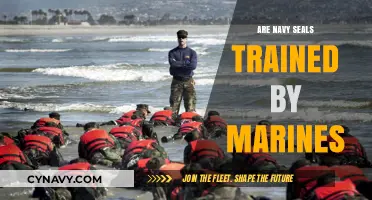 Elite Training: Navy SEALs and the Marine Connection