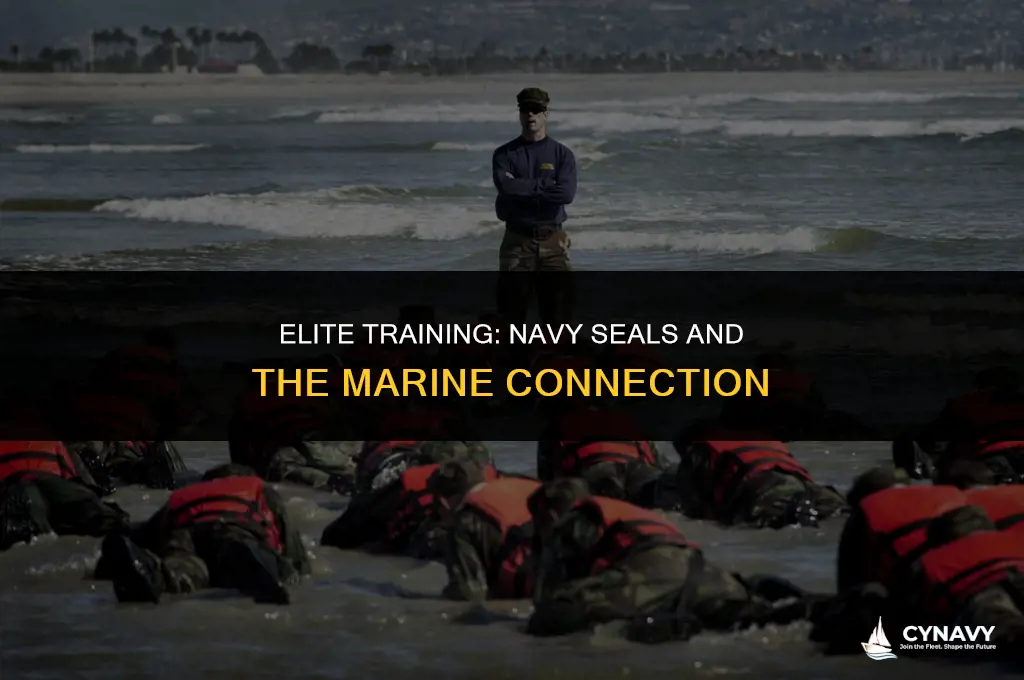 are navy seals trained by marines