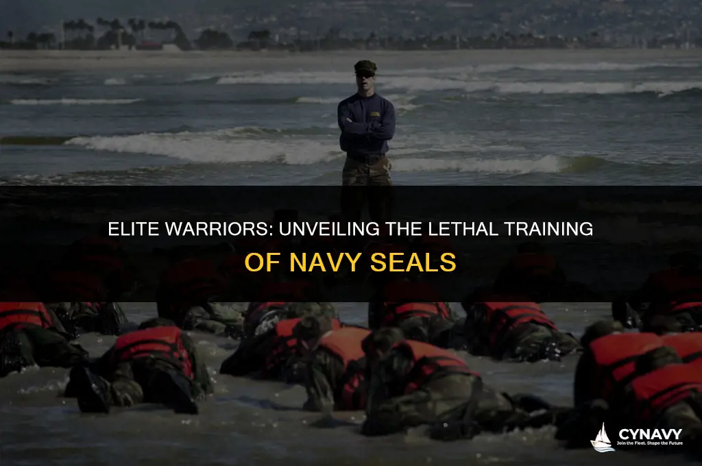 are navy seals trained to kill