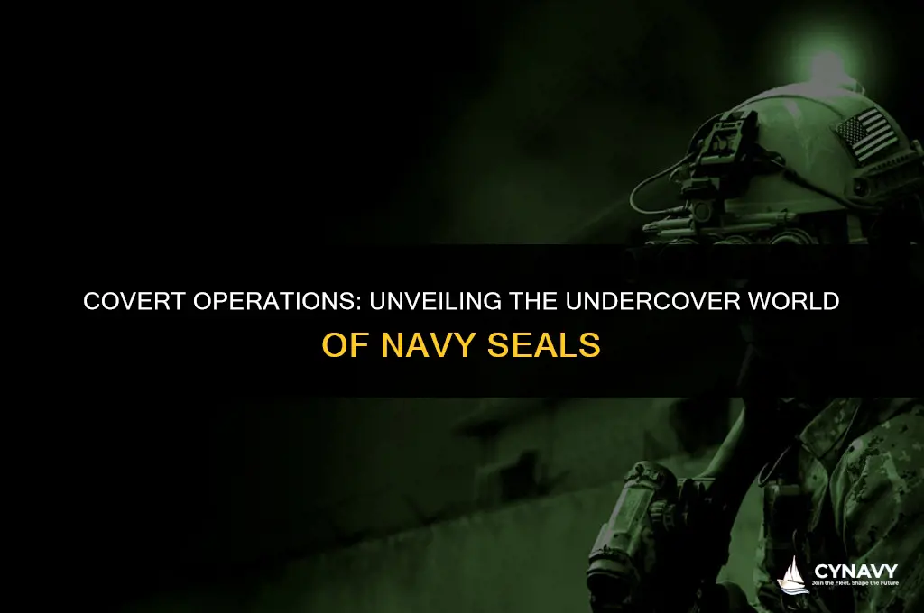 are navy seals undercover