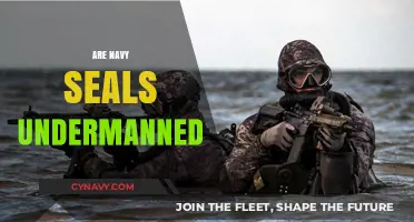Exploring the Current State of Navy SEALs: Are They Undermanned?