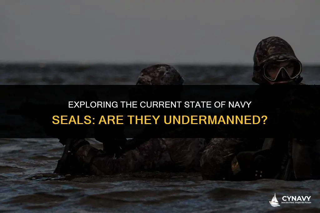 are navy seals undermanned