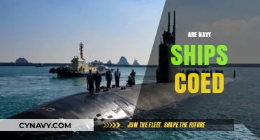 Unity at Sea: Exploring the Dynamics of Coed Navy Ships