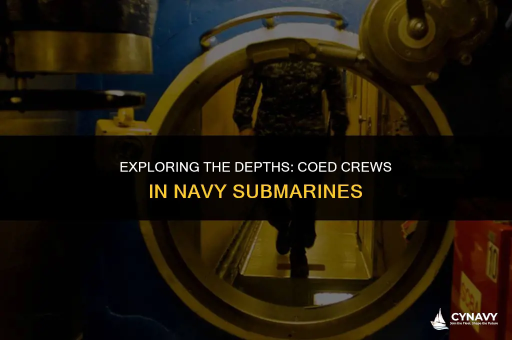 are navy submarines coed