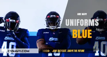 Decoding the Myth: Are Navy Uniforms Really Blue?