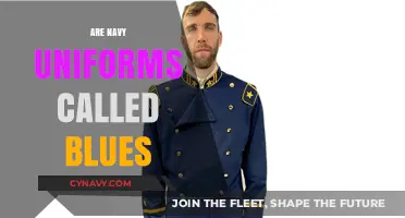 Decoding Military Attire: The Truth About Navy Uniforms and 'Blues