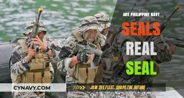 Unveiling the Truth: Are Philippine Navy SEALs Real SEALs?