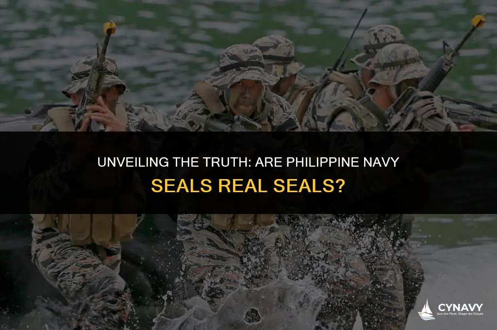 are philippine navy seals real seal