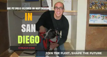 Pit Bulls in Navy Housing: San Diego's Pet Policy Explained