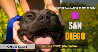 Can Pitbulls Live in Navy Housing San Diego? Rules Explained