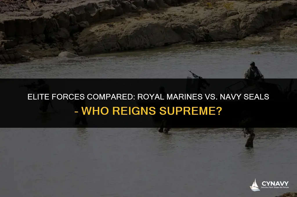 are royal marines equivalent to navy seals