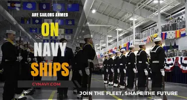 Armed Sailors: A Closer Look at Navy Ship Security Measures