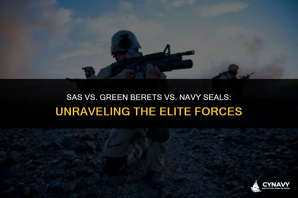 are sas like green berets or navy seals