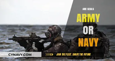 Decoding the Military Branch of Seals: Army or Navy?