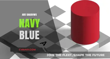Unveiling the Mystery: Are Shadows Really Navy Blue?