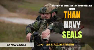 Comparing Elite Forces: Are French Special Operations Superior to Navy SEALs?