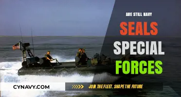 Exploring the Elite Status of Navy SEALs: Are They Still Special Forces?