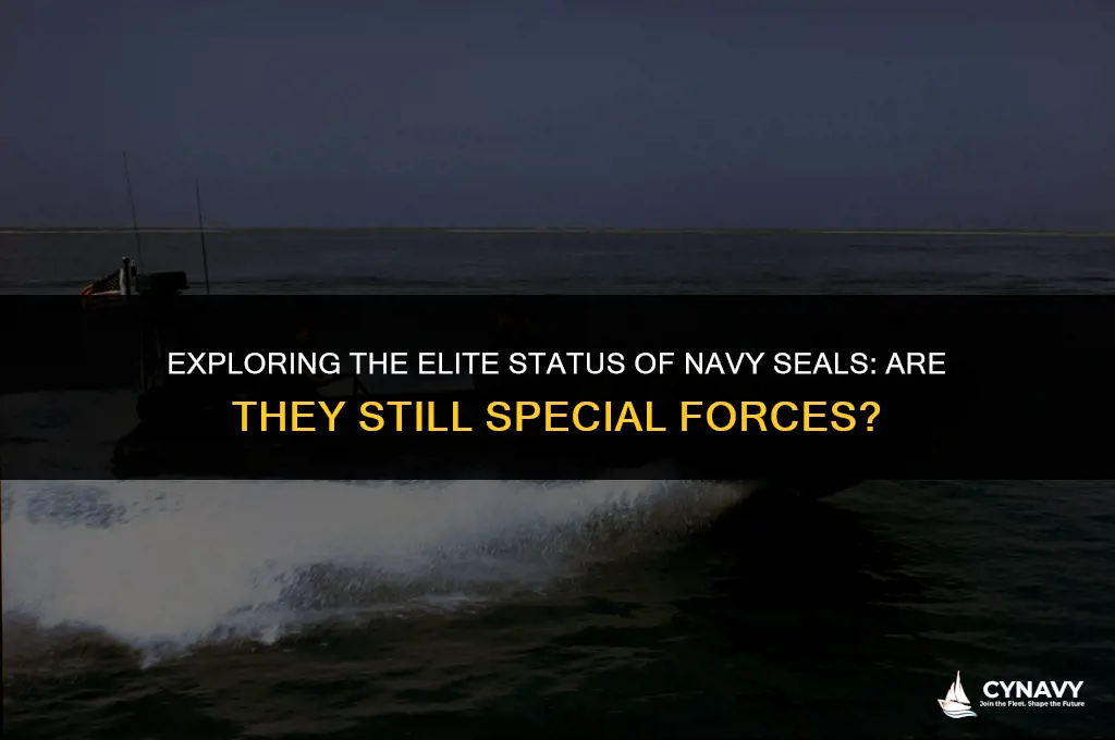 are still navy seals special forces