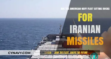 U.S. Navy Vulnerability: Are Iranian Missiles a Looming Threat?