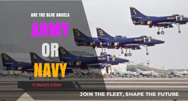 Decoding the Blue Angels: Unveiling Their Military Branch Affiliation