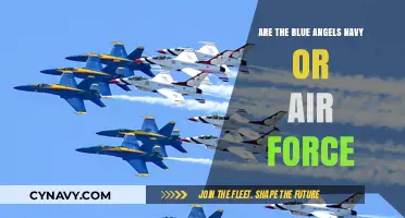 Decoding the Blue Angels: Navy or Air Force?