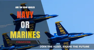 Decoding the Blue Angels: Navy vs. Marines - The Ultimate Guide