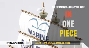 One Piece Marines vs. Navy: Unraveling Their Distinct Roles and Powers